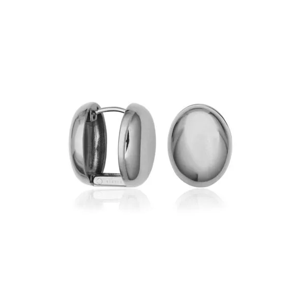Stainless Steel Earrings Victoria Jewellers REGINA, SK