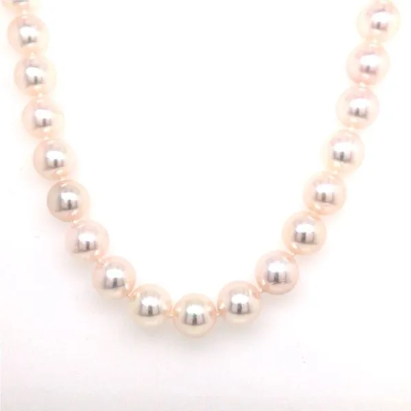Strand Vincent Anthony Jewelers Tulsa, OK
