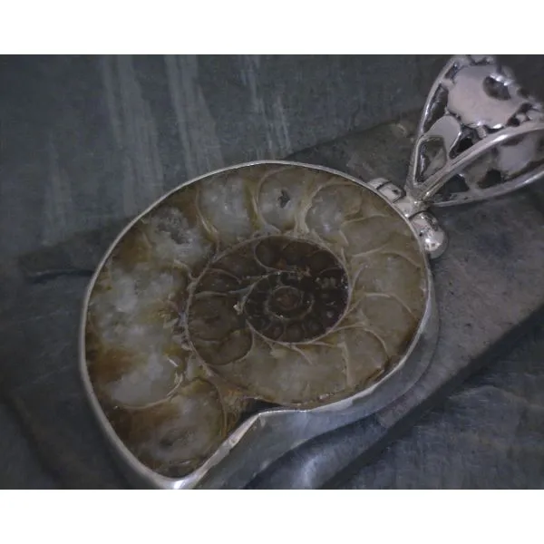SS Bz Ammonite Pendant Vulcan's Forge LLC KANSAS CITY, MO