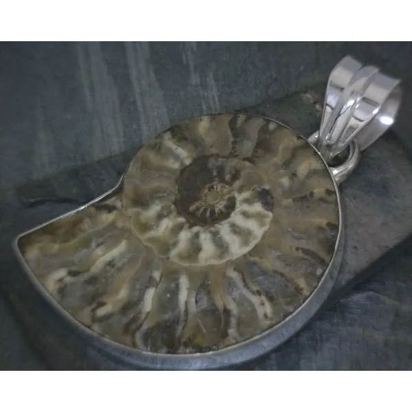 SS Bz Ammonite Pendant Vulcan's Forge LLC KANSAS CITY, MO