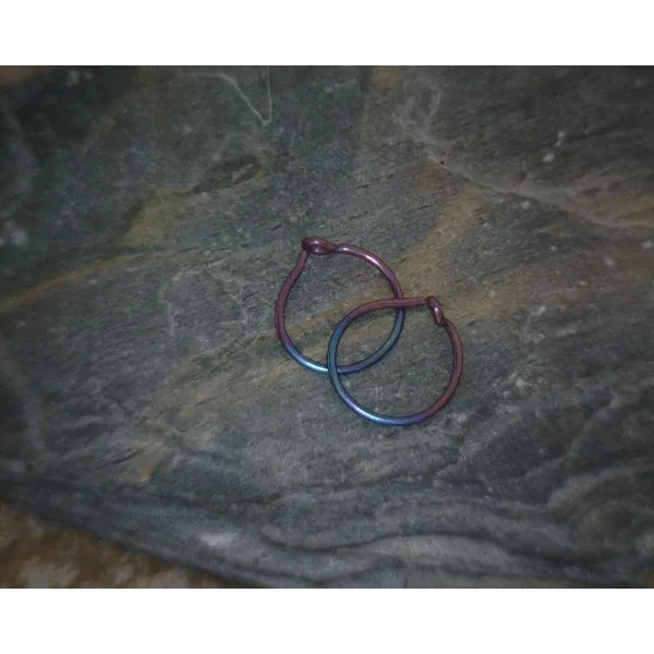 Thin Niobium Multi Colored Hoop Small Earrings Vulcan's Forge LLC Kansas City, MO
