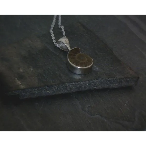 Ss Bz Small Ammontie Pendant Necklace Vulcan's Forge LLC KANSAS CITY, MO