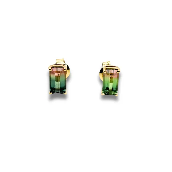 14 Karat Yellow Gold Watermelon Tourmaline Stud Earrings  Ware's Jewelers Bradenton, FL