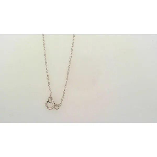 White 14 Karat Rope Chain Ware's Jewelers Bradenton, FL