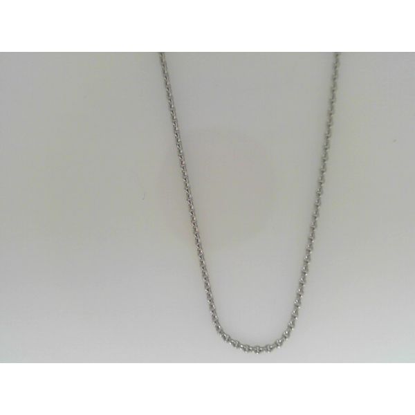 White Gold Cable Chain Ware's Jewelers Bradenton, FL