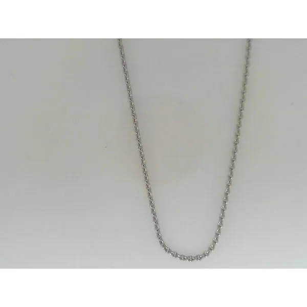 White Gold Cable Chain Ware's Jewelers Bradenton, FL