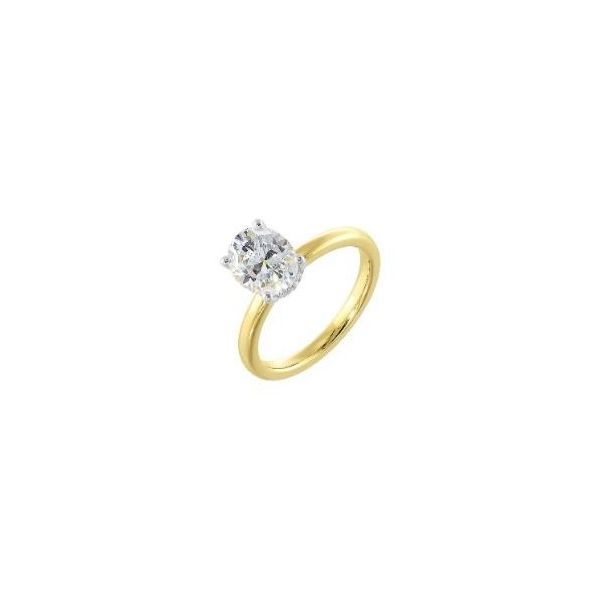 Complete Lab Grown Diamond Engagement Ring with Side Stones Wesche Jewelers Melbourne, FL