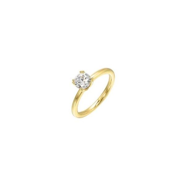 Complete Solitaire Lab Grown Diamond Engagement Ring Wesche Jewelers Melbourne, FL