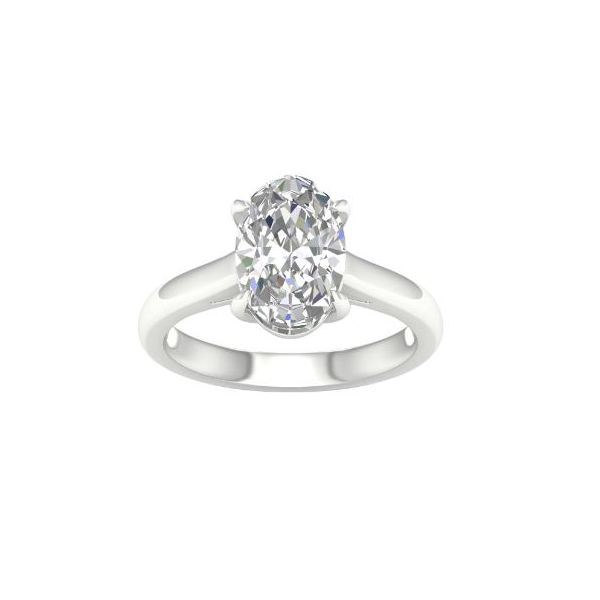 Complete Solitaire Lab Grown Diamond Engagement Ring Wesche Jewelers Melbourne, FL