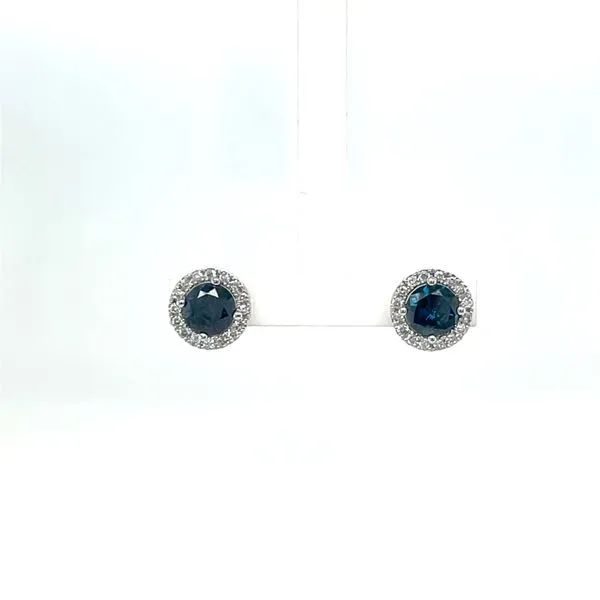 Earrings Wesche Jewelers Melbourne, FL