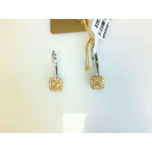 Diamond Earrings Wesche Jewelers Melbourne, FL