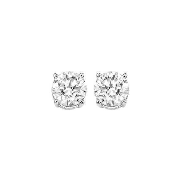  Lab Grown "Alpha" Diamond Stud Earrings Wesche Jewelers Melbourne, FL