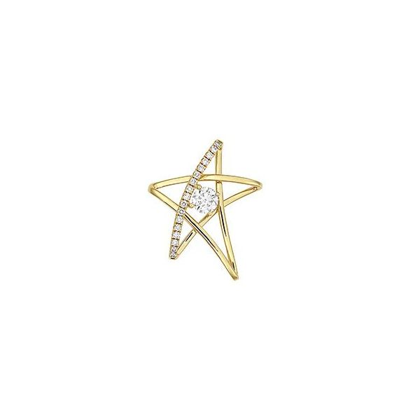 Lab Grown Diamond Star Pendant by Chatham Wesche Jewelers Melbourne, FL