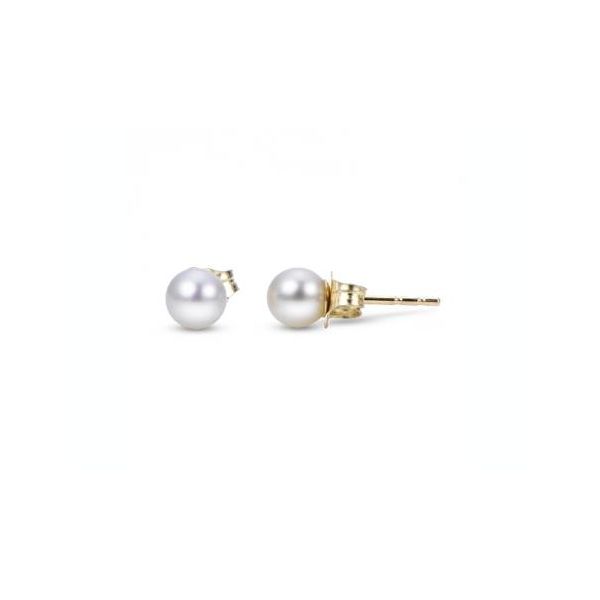 Freshwater Pearl Stud Earrings Wesche Jewelers Melbourne, FL