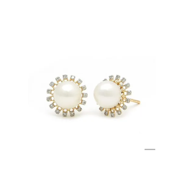 Earrings Wesche Jewelers Melbourne, FL