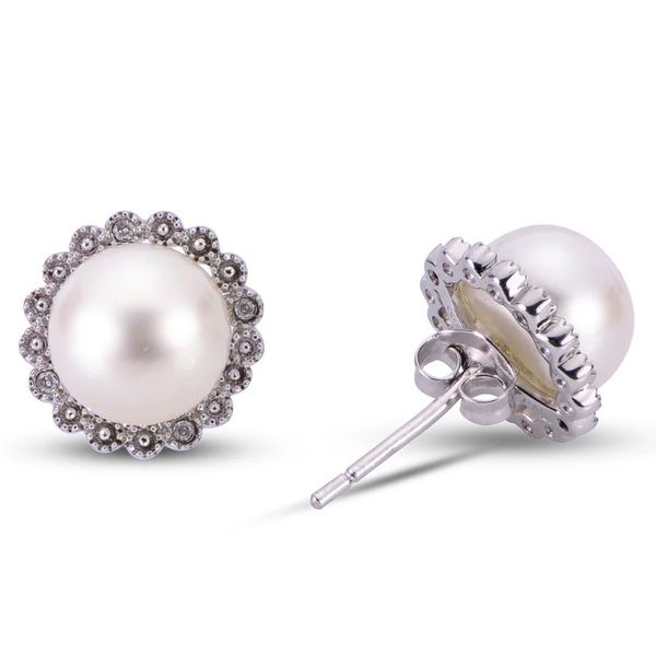 Pearl Earrings Wesche Jewelers Melbourne, FL