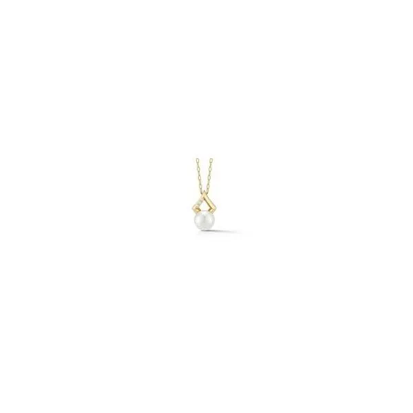 Pendant Wesche Jewelers Melbourne, FL
