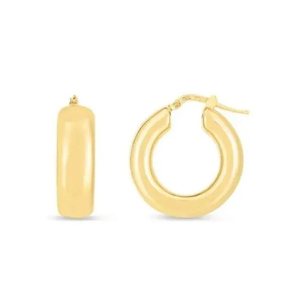 Gold Earrings similar item image