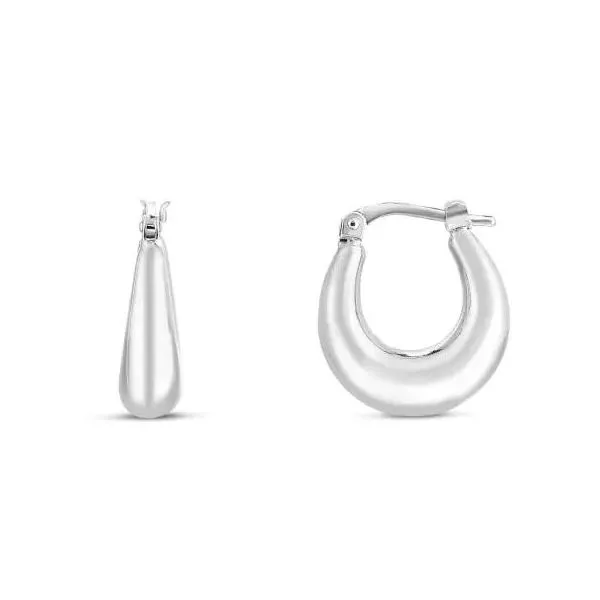 Silver Earrings