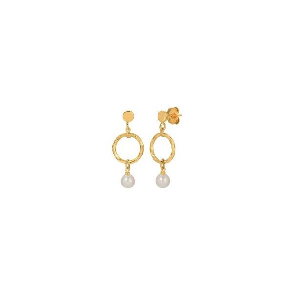 Silver Earrings Wesche Jewelers Melbourne, FL