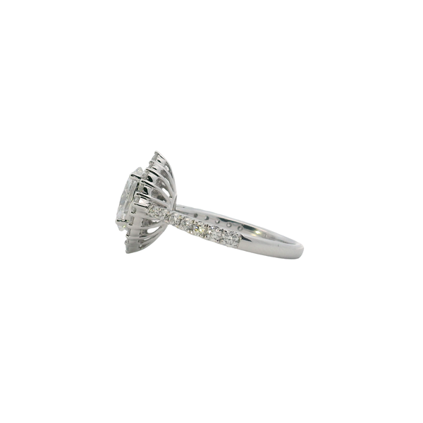 14K White Gold Laboratory Grown Oval Diamond Ring with Scalloped Halo and Diamond Band 2.29CTW VS EF Image 2 West and Company Auburn, NY