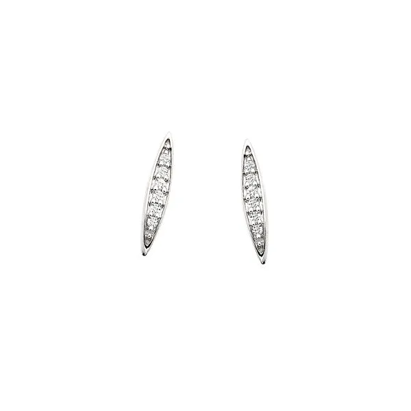 10K White Gold Diamond 