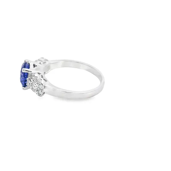 18K White Gold Round Tanzanite Ring With Diamond Accents Image 2 West and Company Auburn, NY
