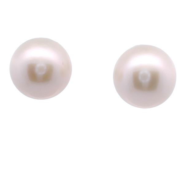 Lds FWP Stud 14K WG 10 10.5 mm ||| Ladies Fresh Water Pearl Stud Earring in 14K White Gold 10-10.5MM West and Company Auburn, NY