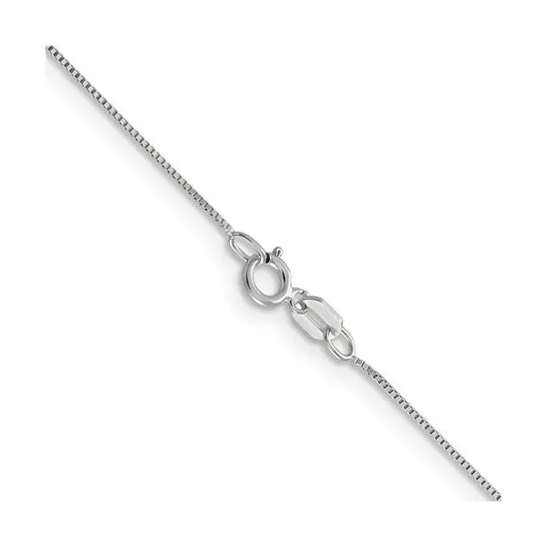 14K White Gold 18-Inch Box Chain with Spring Ring Clasp West and Company Auburn, NY