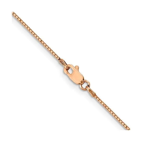 14K Rose Gold 20-Inch Box Chain with Lobster Claw Clasp West and Company Auburn, NY