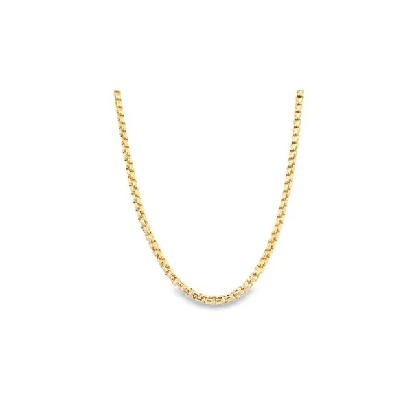 14K Yellow Gold 20 Inch 2.5mm Solid Round Box Chain with Lobster Clasp West and Company Auburn, NY