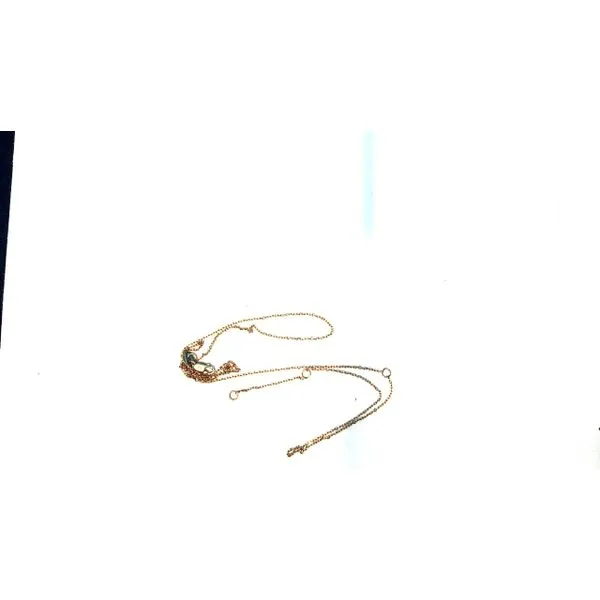 Chain West and Company Auburn, NY