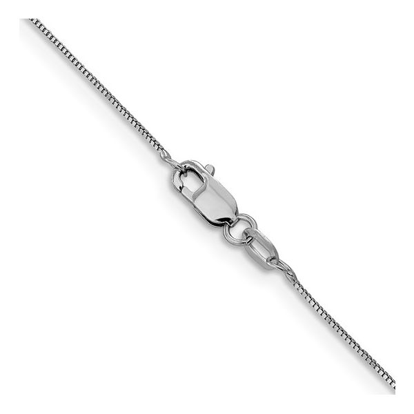 14K White Gold 18 Inch Box Chain with Lobster Claw Clasp West and Company Auburn, NY