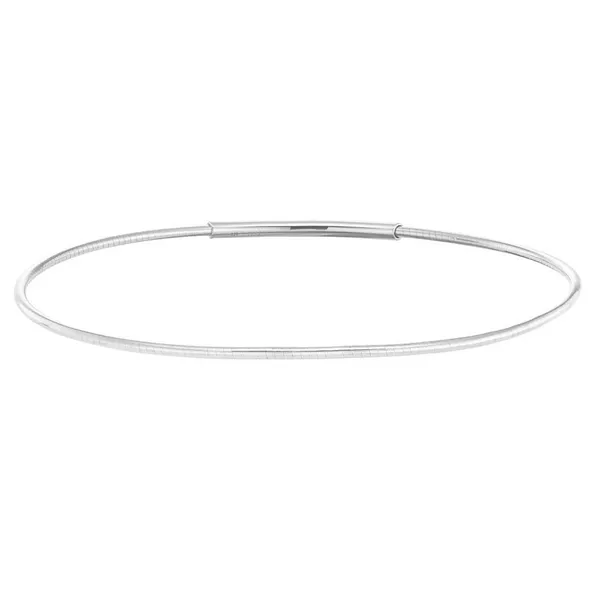 Platinum Finish Sterling Silver Flexible Birth Gem Charm Bracelet 7.5IN West and Company Auburn, NY