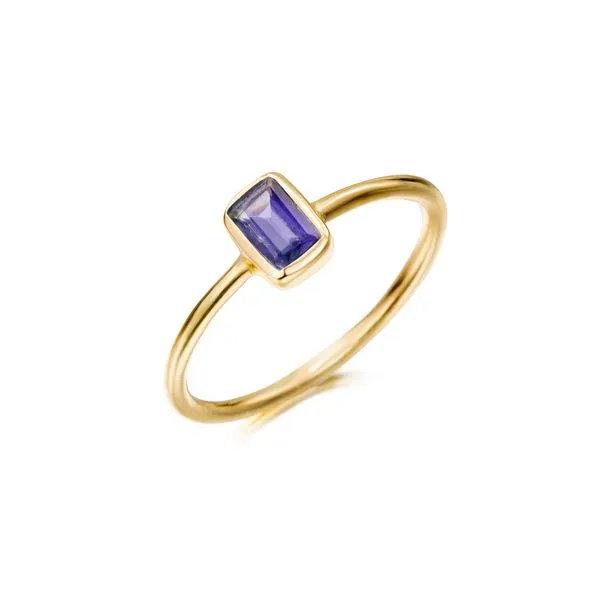 18K Vermeil Bezel Set Emerald Cut Iolite Ring West and Company Auburn, NY