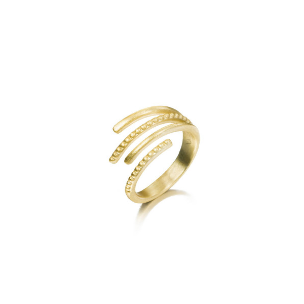 Jorge Reville - Adjustable Ring West and Company Auburn, NY