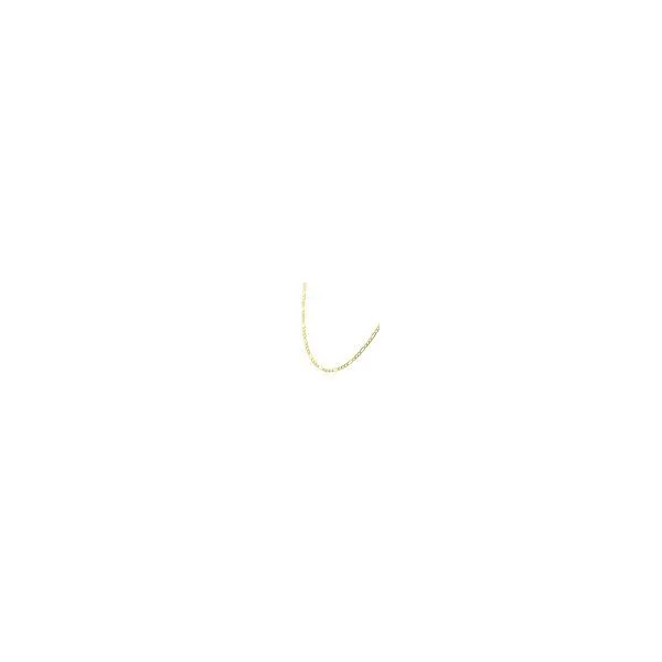 4.7mm 18K Gold IP Titanium Figaro Chain Necklace with Lobster Clasp -24IN Image 2 West and Company Auburn, NY