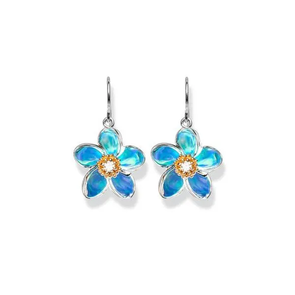 Earrings Whalen Jewelers Inverness, FL