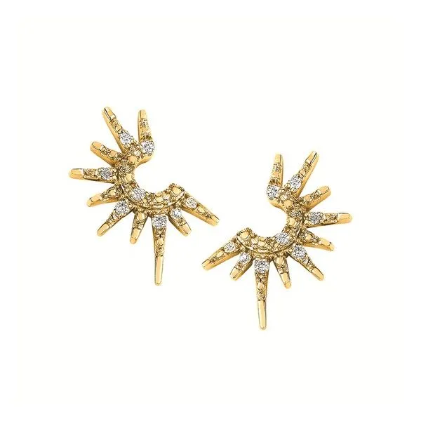 Earrings Whalen Jewelers Inverness, FL
