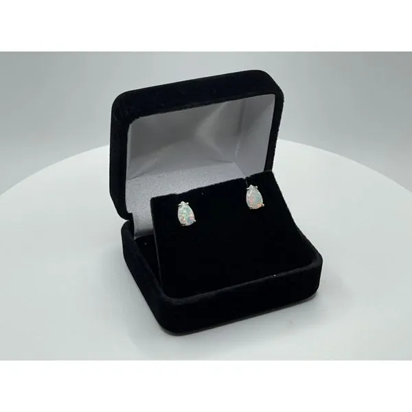 Earrings Image 2 Whalen Jewelers Inverness, FL