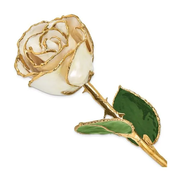 Collectibles Whalen Jewelers Inverness, FL