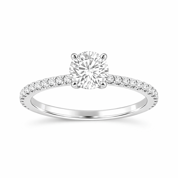 Round Diamond Engagement Ring in 14K White Gold | Pavé Diamond Solitaire Ring Whidby Jewelers Madison, GA
