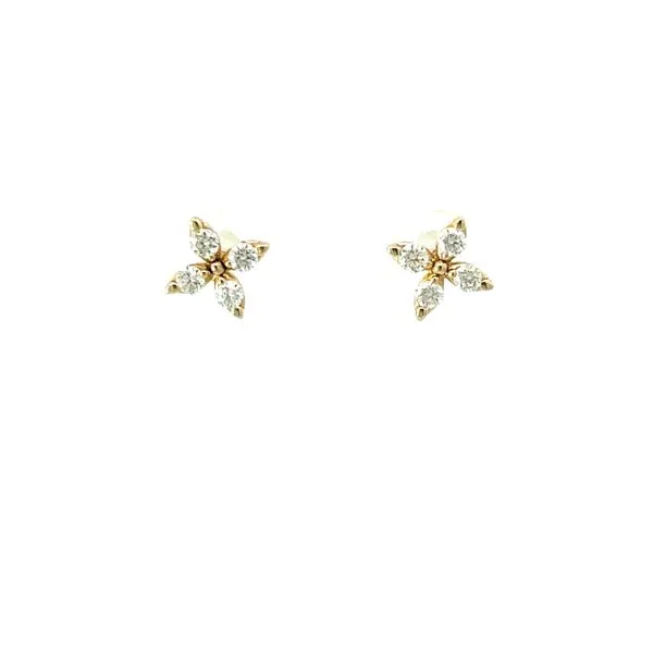 Diamond Earrings Whidby Jewelers Madison, GA