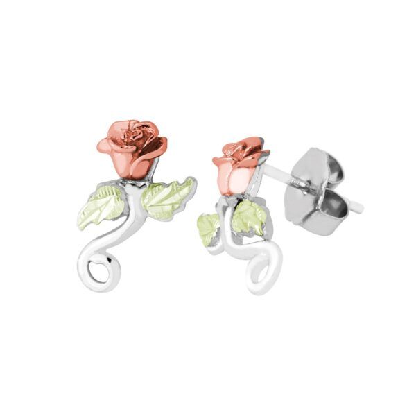 Earrings Wink's Fine Jewelry Brookings, SD