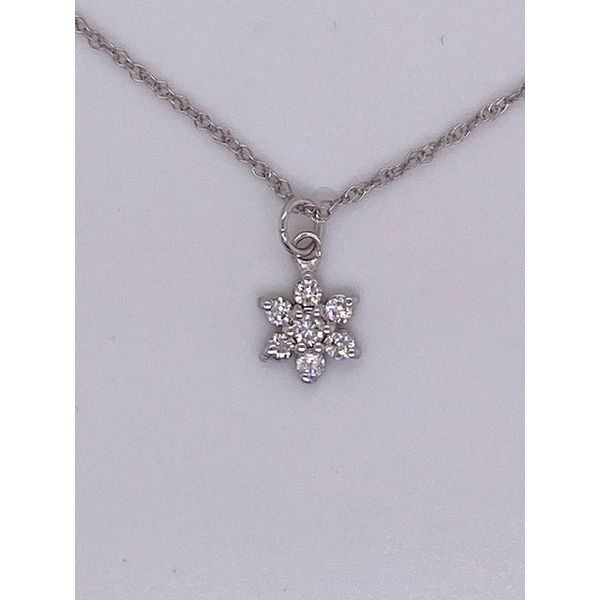 001-165-00002 Wise Family Quality Jewelers Haddon Heights, NJ