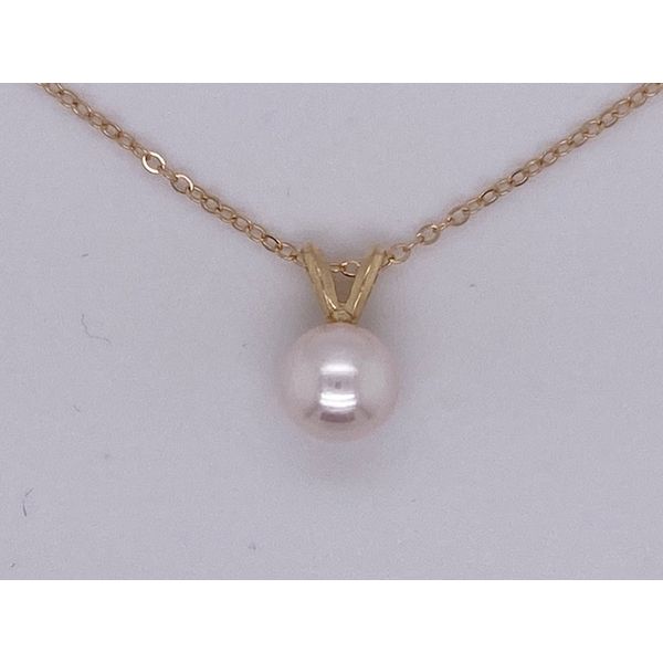 001-325-00001 Wise Family Quality Jewelers Haddon Heights, NJ