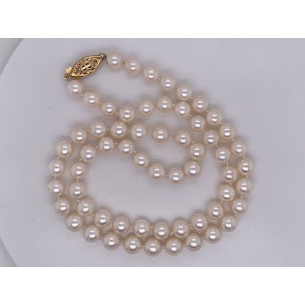 Strand Wise Family Quality Jewelers Haddon Heights, NJ