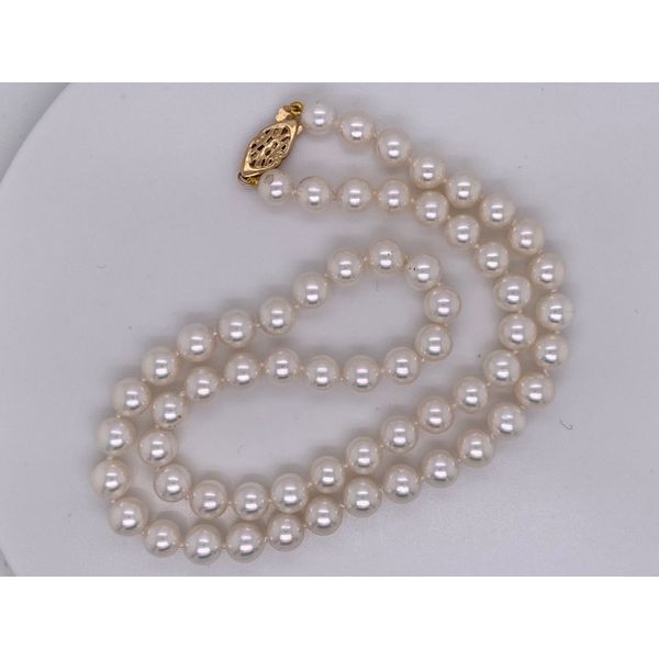 Strand Wise Family Quality Jewelers Haddon Heights, NJ