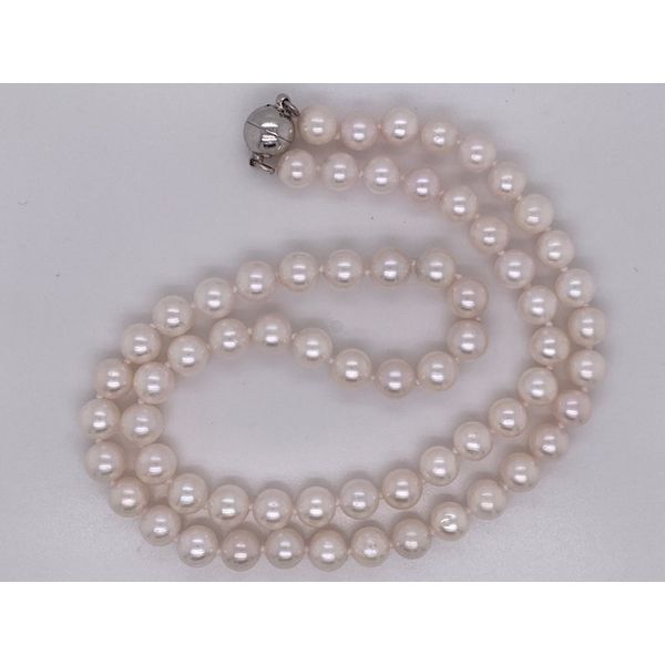 Strand Wise Family Quality Jewelers Haddon Heights, NJ