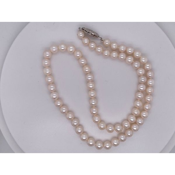 Strand Wise Family Quality Jewelers Haddon Heights, NJ